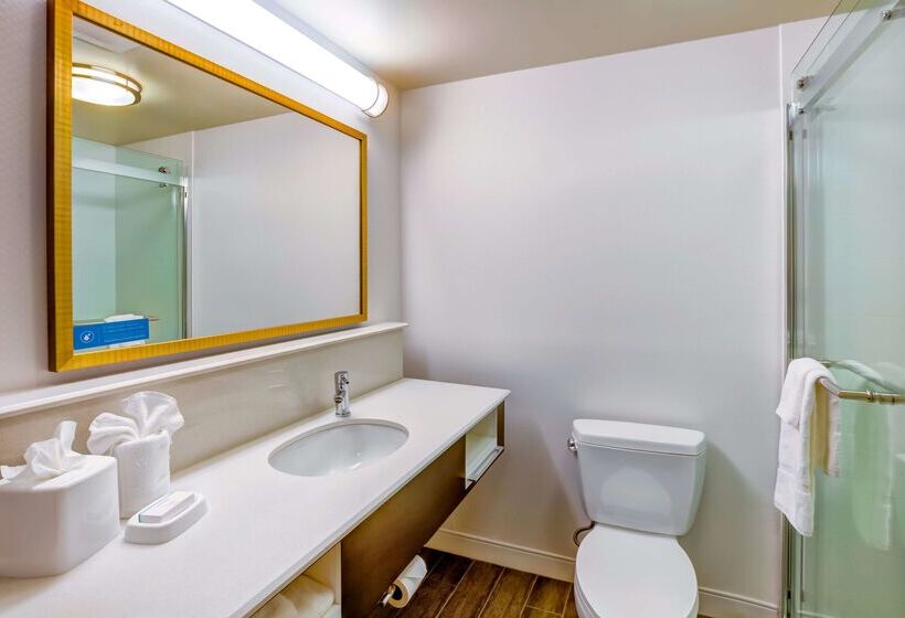 אתר נופש Hampton Inn Bostonnorwood