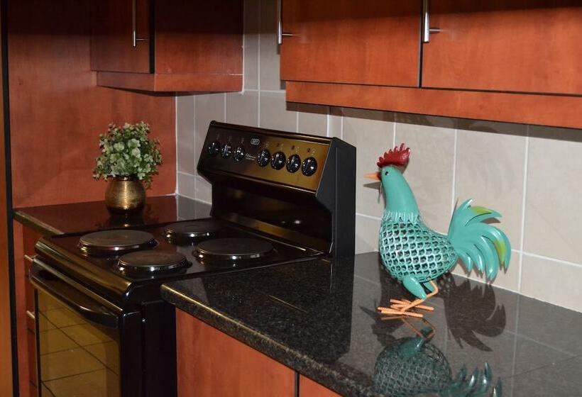 Africa Emerald At 47 Petronella