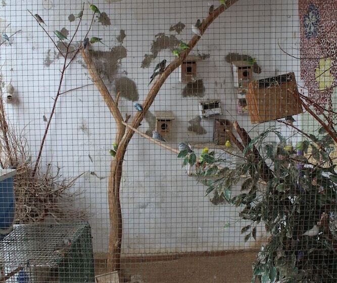 Albergue Camino De Santiago   Hostel