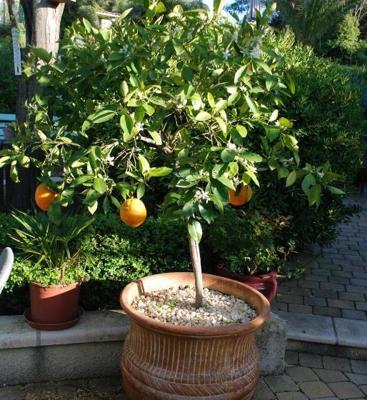 Bed and Breakfast Domaine à L Aise   Piscine Chauffée