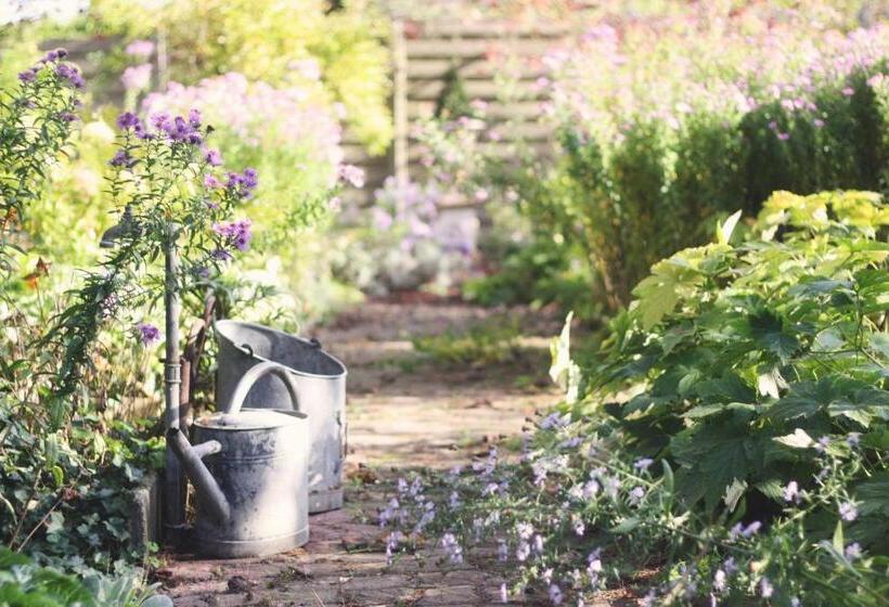 住宿加早餐  Le Bonheur à La Campagne