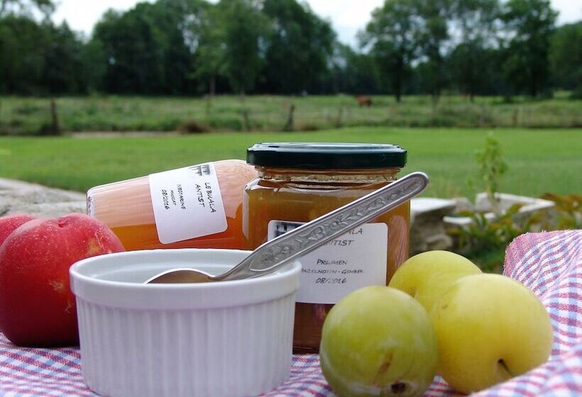 住宿加早餐 Le Buala Maison D Hôtes