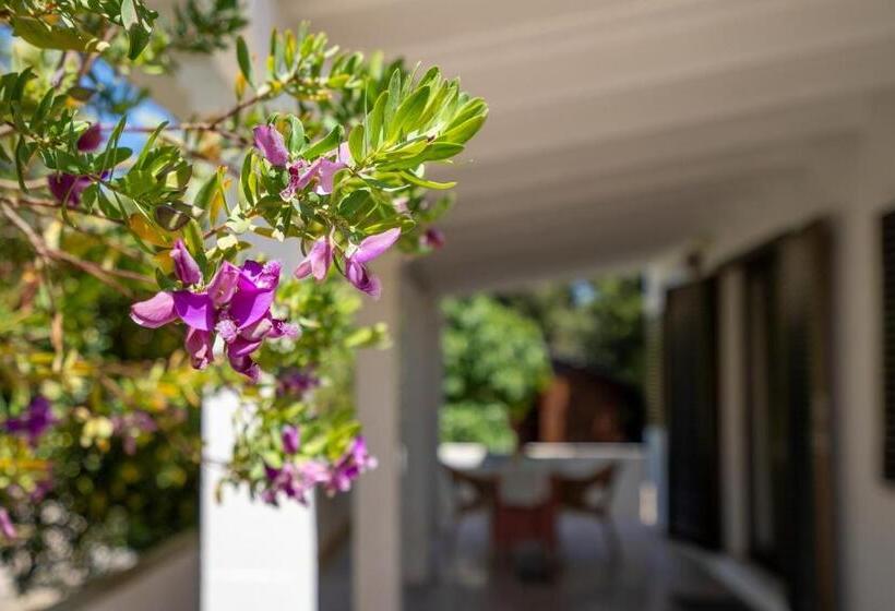 Bettina & Birgitta  Formentera Break
