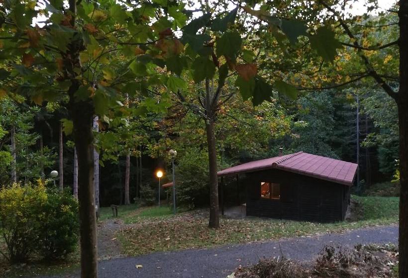 Cabañas En El Bosque  Adults Only