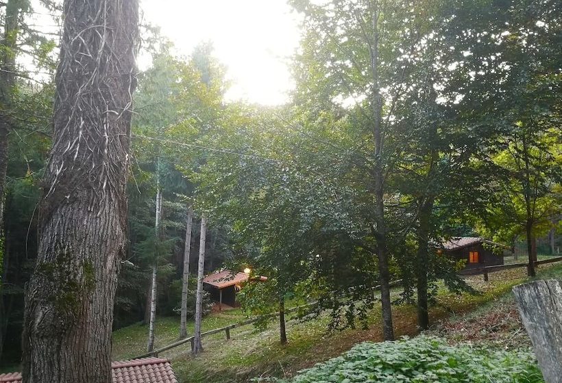 Cabañas En El Bosque  Adults Only