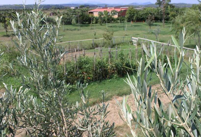 Granja Escola La Perdiu   Hostel