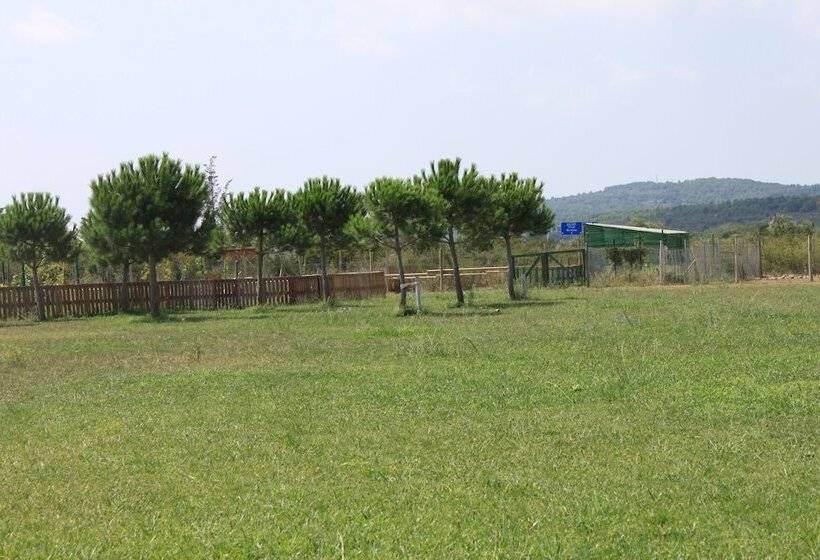 Granja Escola La Perdiu   Hostel