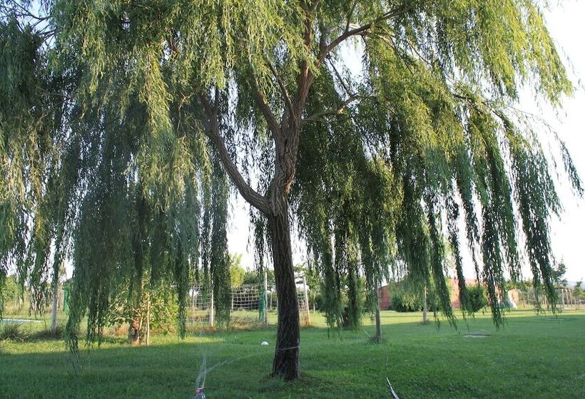 Granja Escola La Perdiu   Hostel