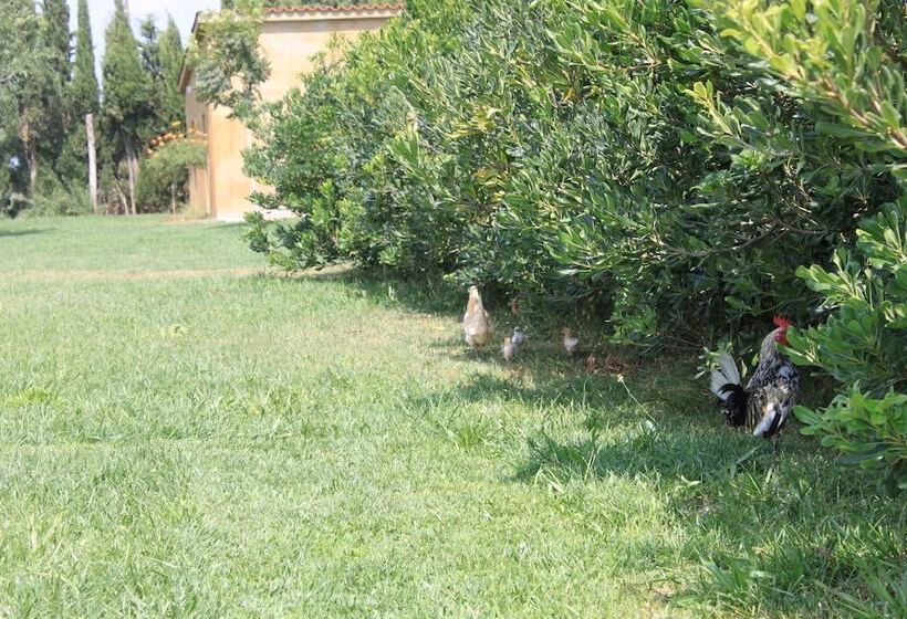 Granja Escola La Perdiu   Hostel