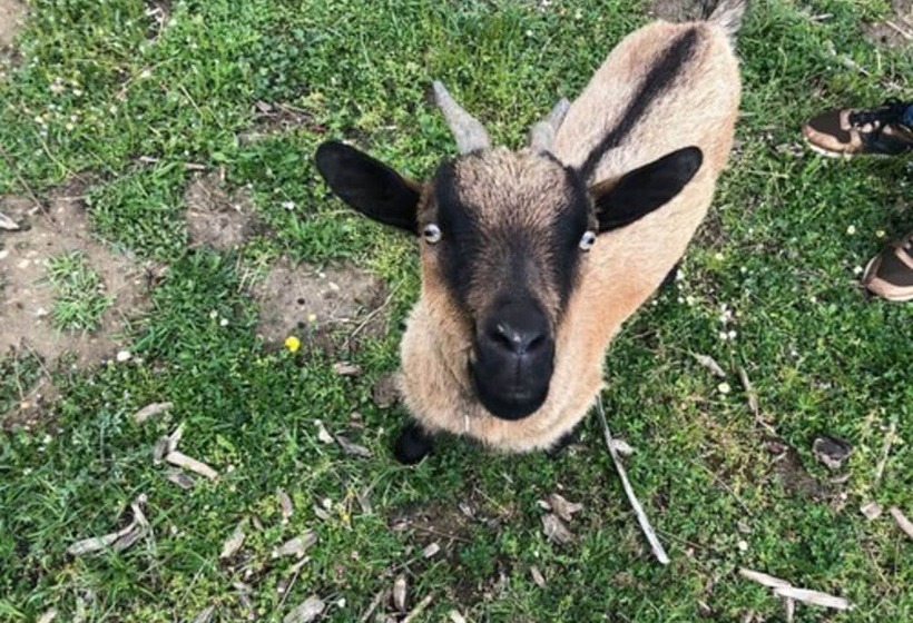 فندق Camping Du Sevron