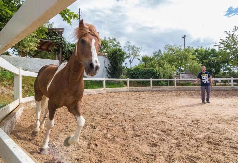 فندق El Mas De Xetà