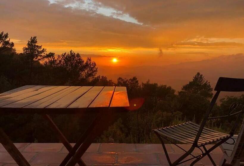 בית מלון כפרי Mas Del Salin