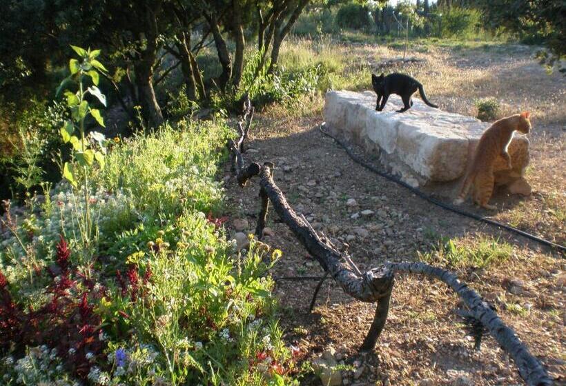 בית מלון כפרי Mas Del Salin