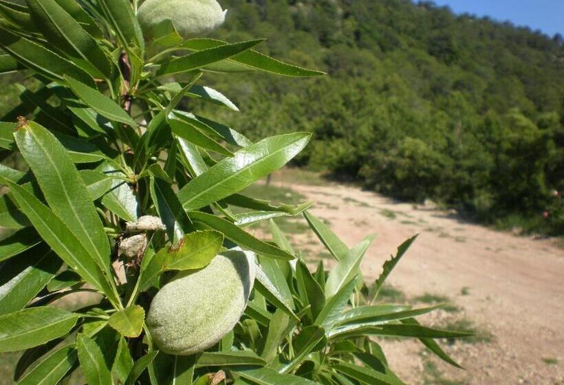 בית מלון כפרי Mas Del Salin