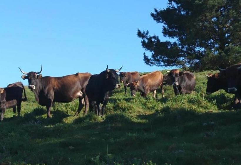 בית מלון כפרי Posada Restaurante Casa Juanchu