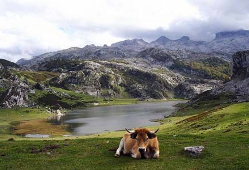 La Nana Del Mar / The Lullaby Of The Sea On Old Harbour
