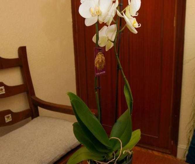 Пансион Alojamientos Arrarte