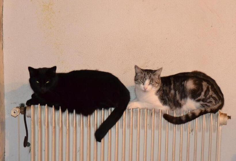 פנסיון Domaine De Benveau