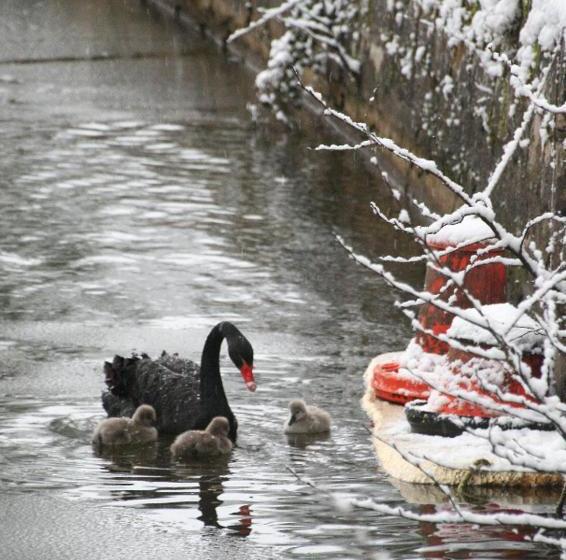 פנסיון Domaine Du Feyel