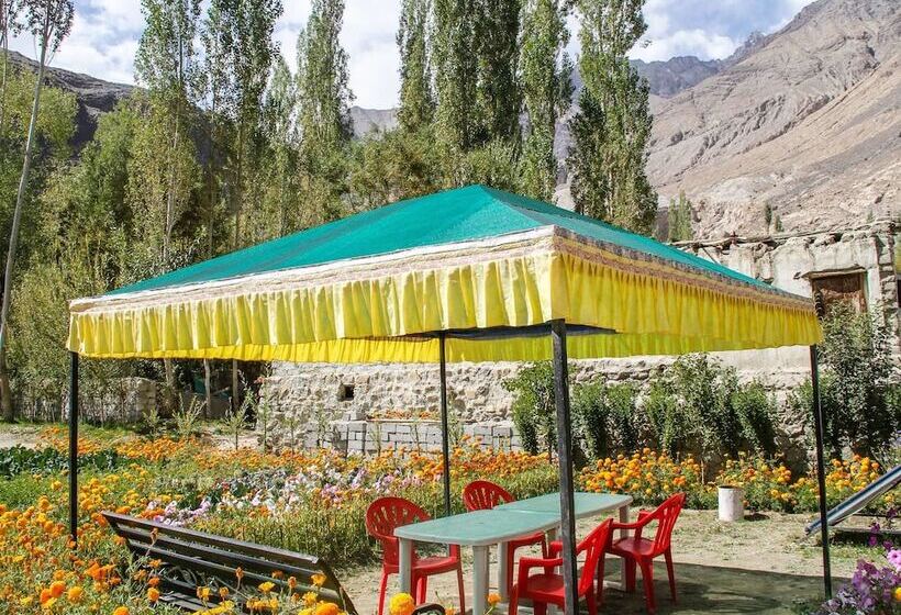 Pensão Ibex Guest House