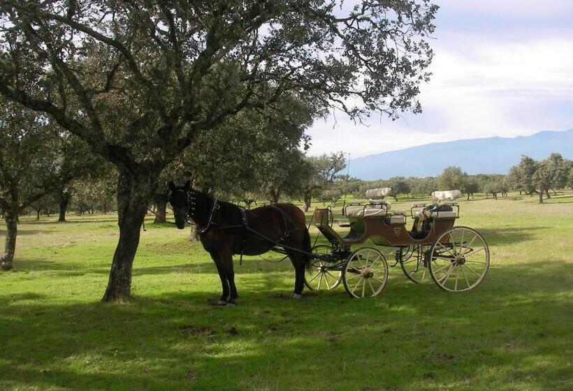 بنسيون La Posada Hípica