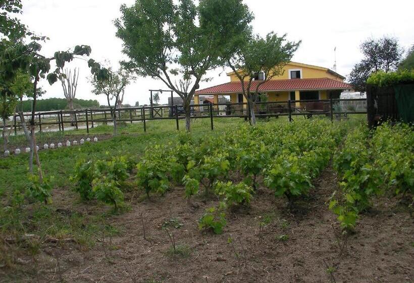 بنسيون La Posada Hípica