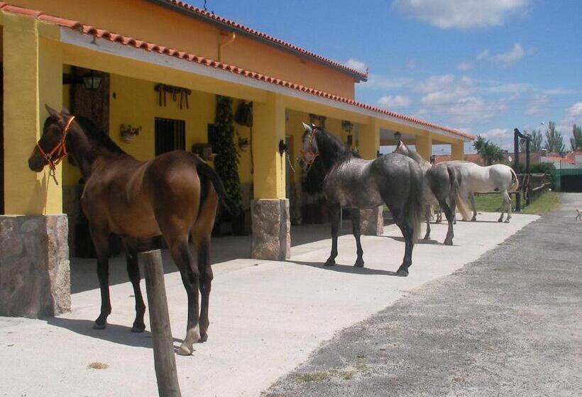 بنسيون La Posada Hípica