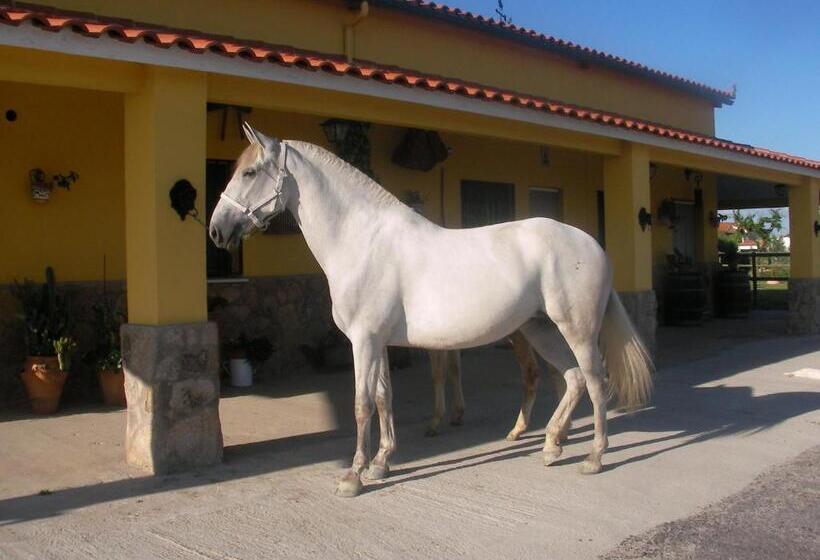 بنسيون La Posada Hípica