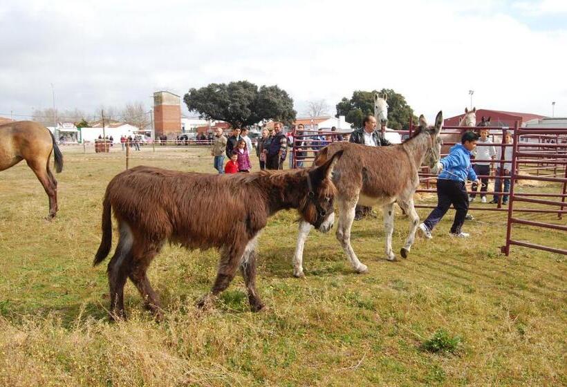 بنسيون La Posada Hípica