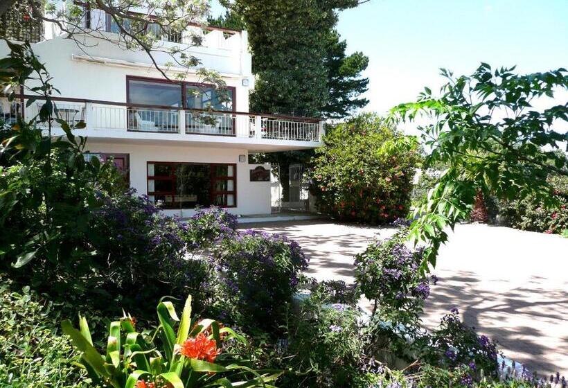 بنسيون Oceangolf Guest House