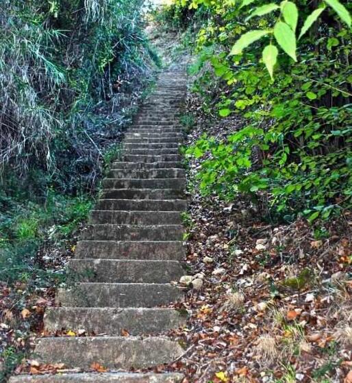 פנסיון Rural Hd Riudebitlles Art I Allotjament