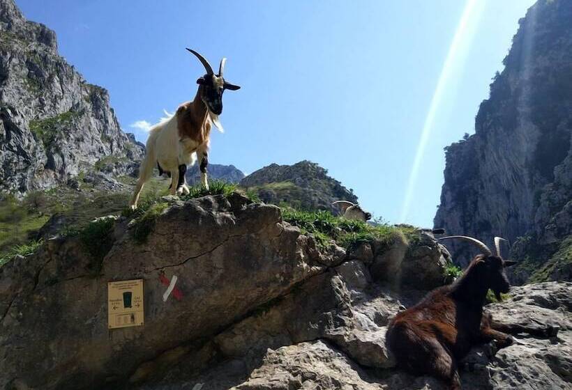 The Old Palace Tower / La Torre Del Palación