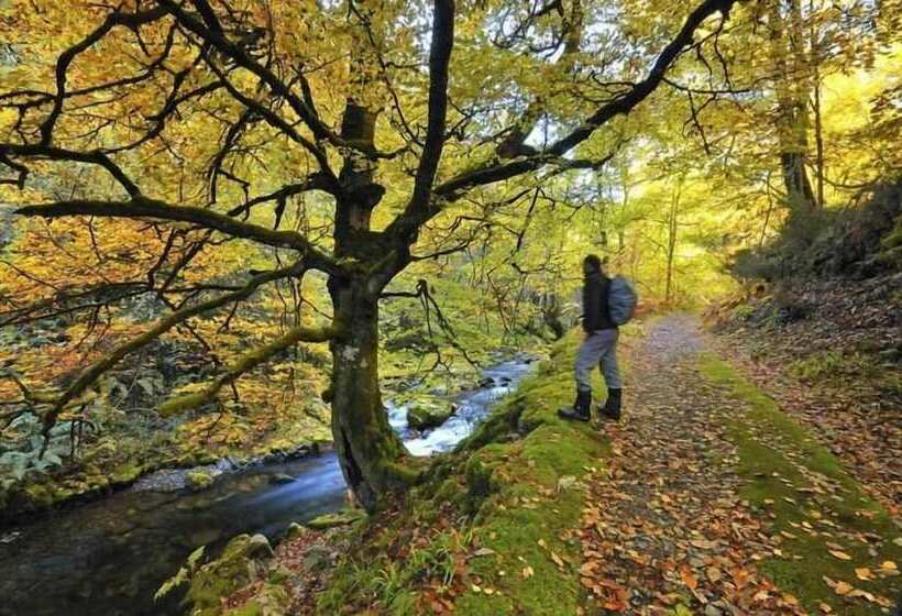 The Old Palace Tower / La Torre Del Palación