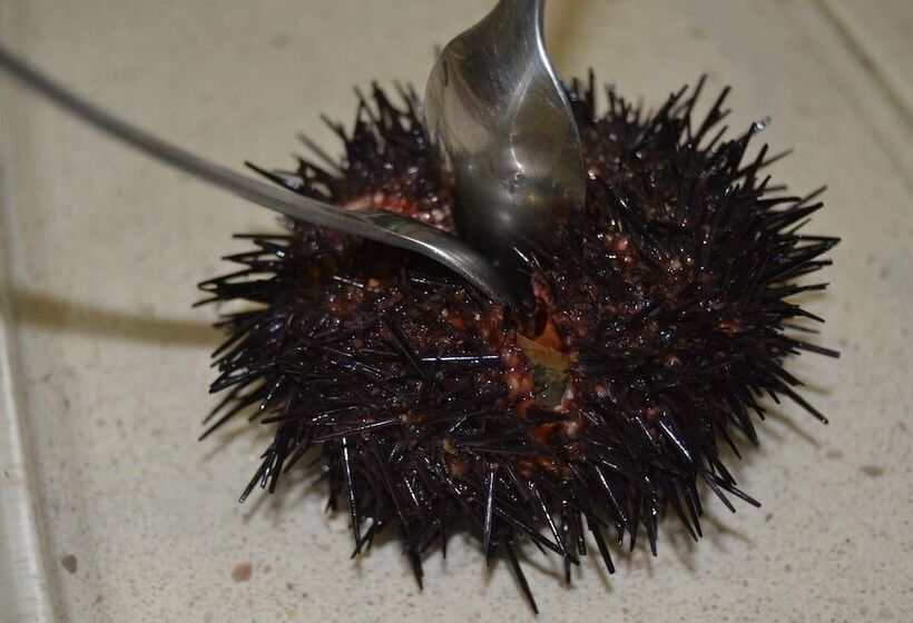 The Old Palace Tower / La Torre Del Palación