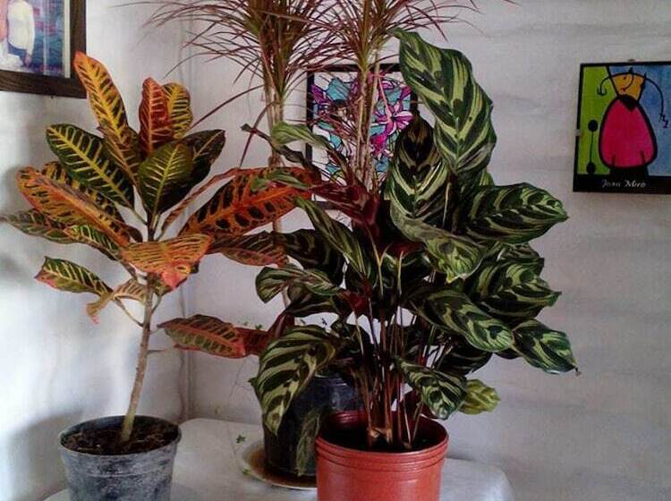 酒店 San Francisco