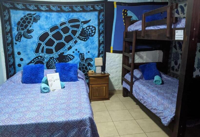 فندق صغير Guesthouse Casa Lapa2