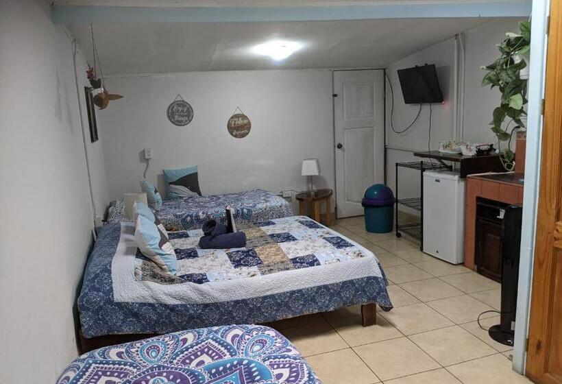 فندق صغير Guesthouse Casa Lapa2