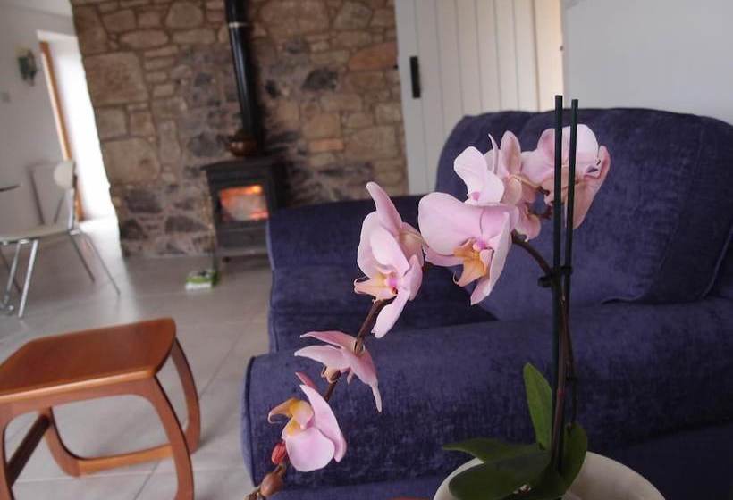 Cockle Kitty Cottage