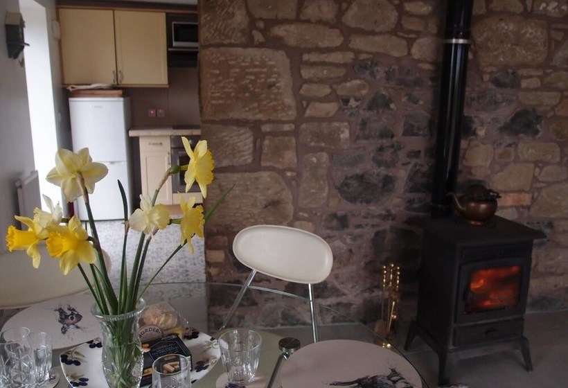 Cockle Kitty Cottage