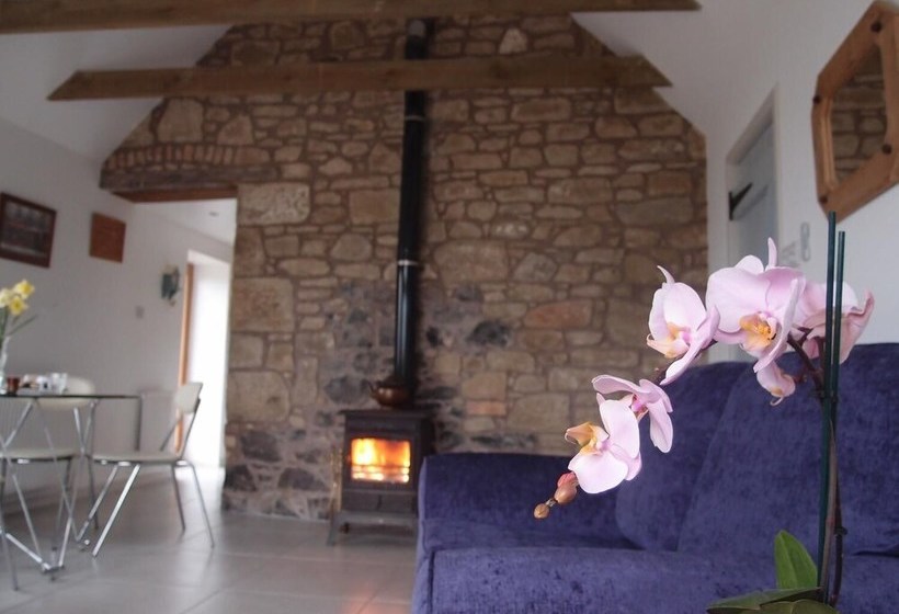 Cockle Kitty Cottage