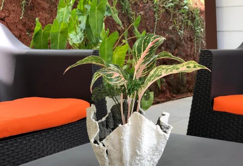 호텔 Ballena Dorada Lodge