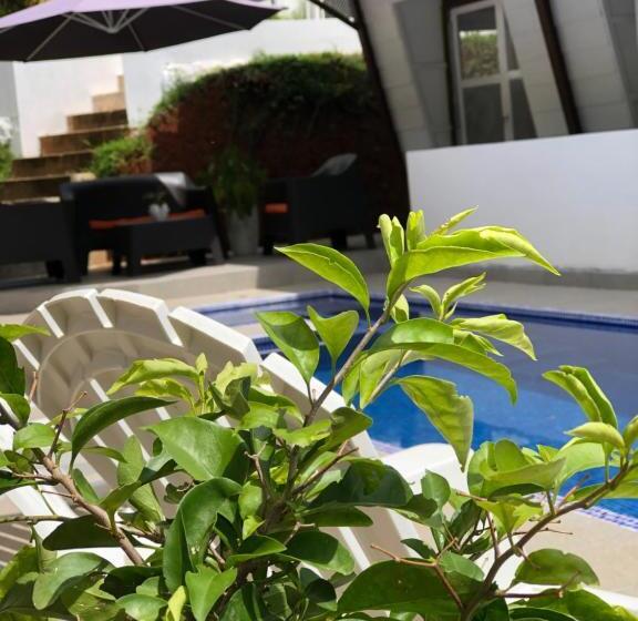 호텔 Ballena Dorada Lodge