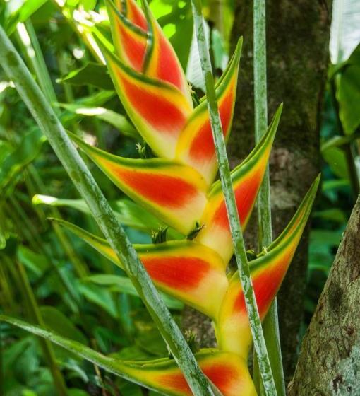 فندق Cabinas Selvin Y Blanca