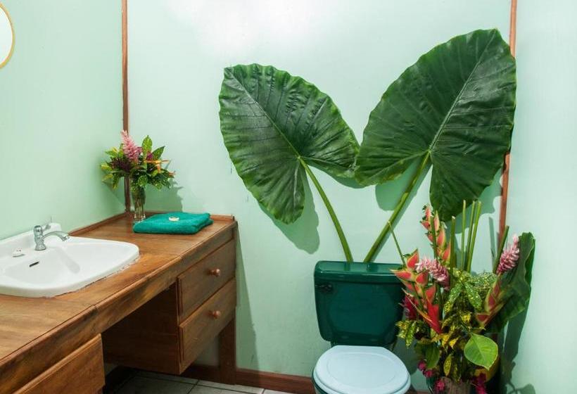 فندق Cabinas Selvin Y Blanca