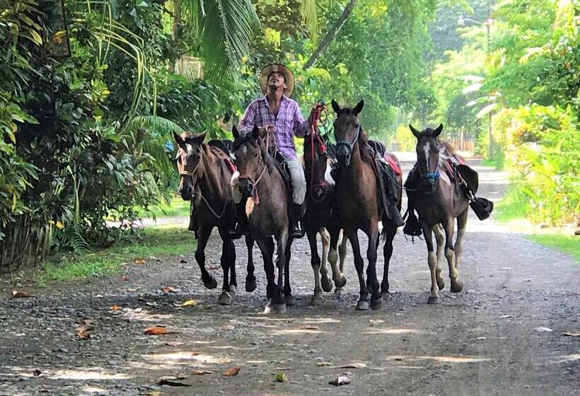 호텔 Coco Beach Village