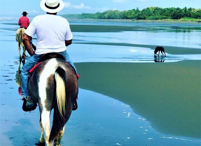 호텔 Coco Beach Village