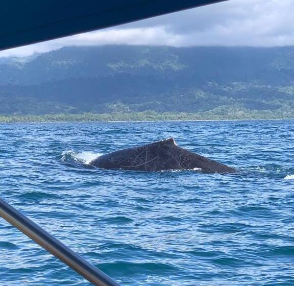 호텔 Coco Beach Village