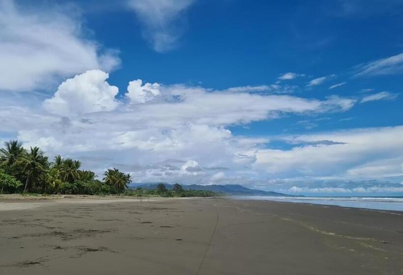 호텔 Coco Beach Village