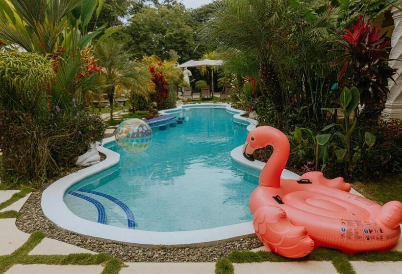 호텔 Coco Beach Village