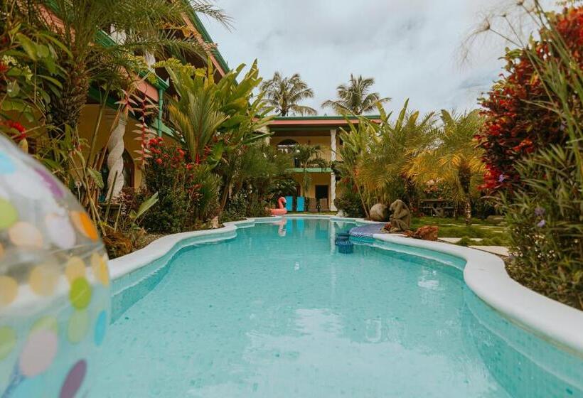 호텔 Coco Beach Village